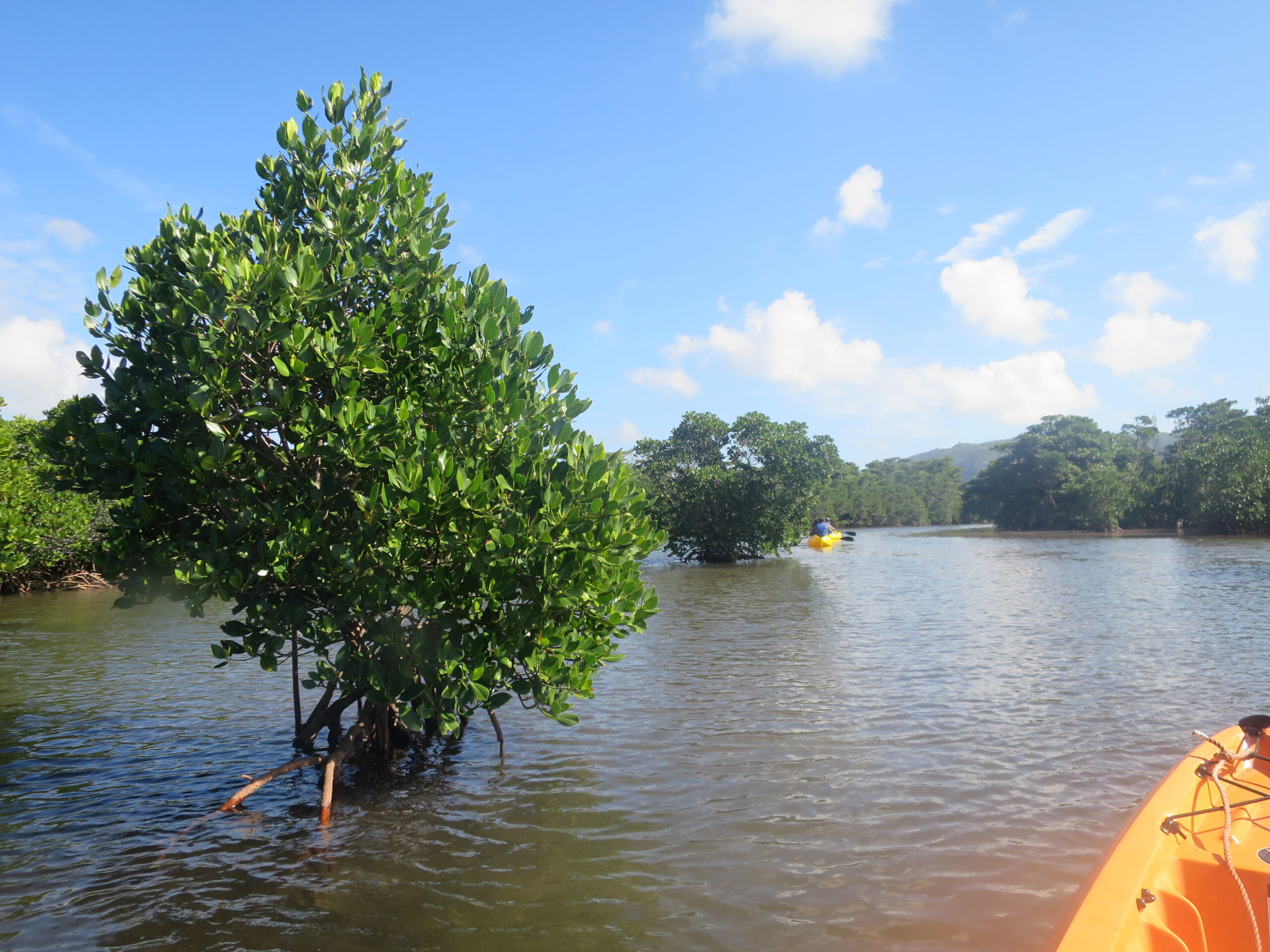 やいま村、カヤック、SUP、リスザル、赤瓦、沖縄、マングローブ、石垣、川