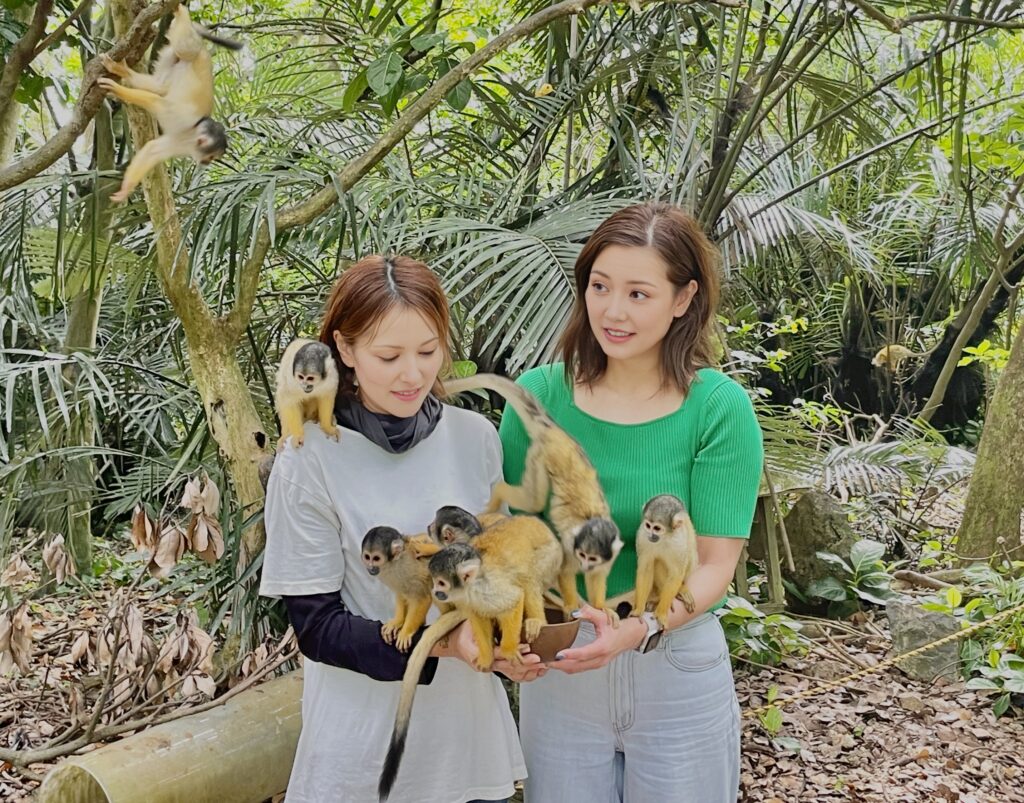 やいま村、カヤック、SUP、リスザル、赤瓦、沖縄、マングローブ、石垣