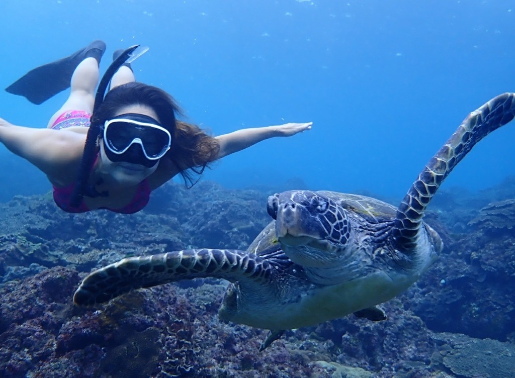 石垣島シュノーケル