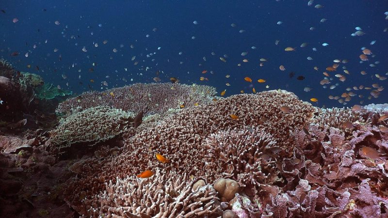 「海が怖い」と感じるのは普通？不安の正体と、自然に慣れていく考え方