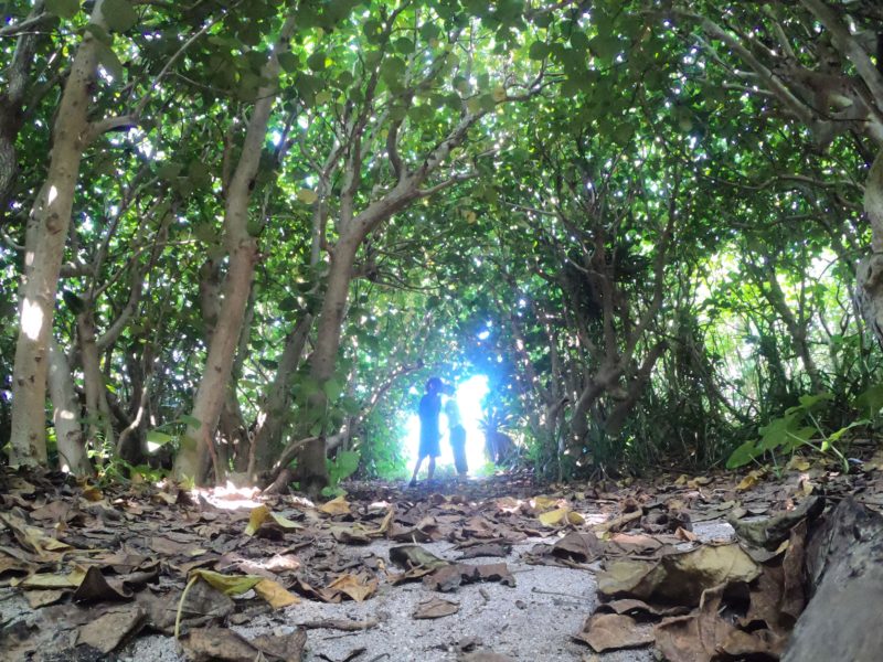 石垣島のベストシーズンはいつ？季節ごとの魅力と“失敗しない”楽しみ方