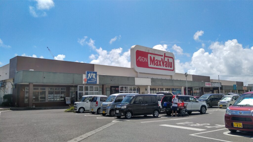 石垣島の子連れ旅で失敗しないコツ