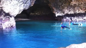 石垣島青の洞窟の海で見れる生き物
