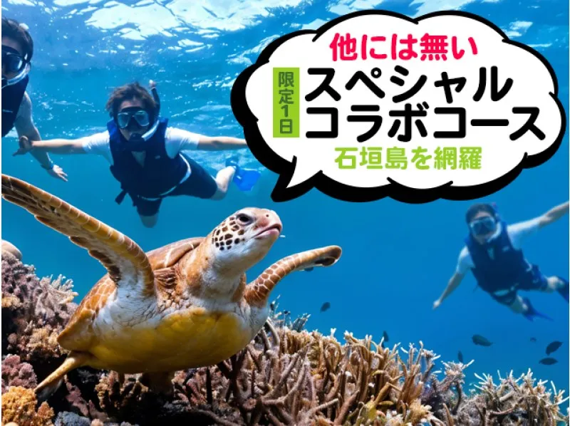 石垣島1日スペシャルツアー！【川平湾・青の洞窟・回復の滝壺・やいま