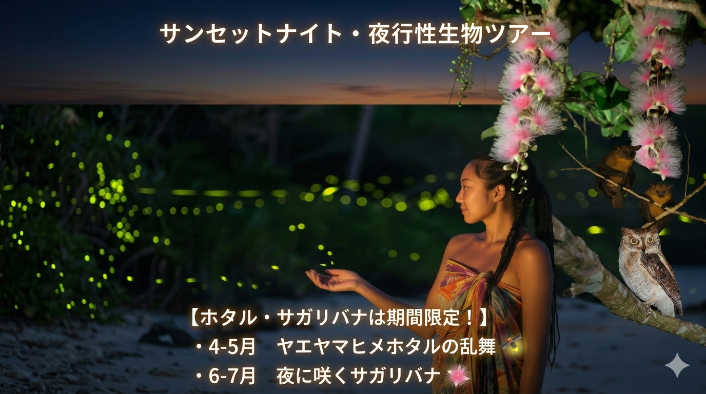 サンセットナイト・夜行性生物ツアー