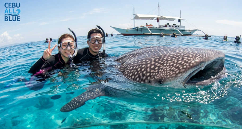 セブ・オールブルー姉妹店