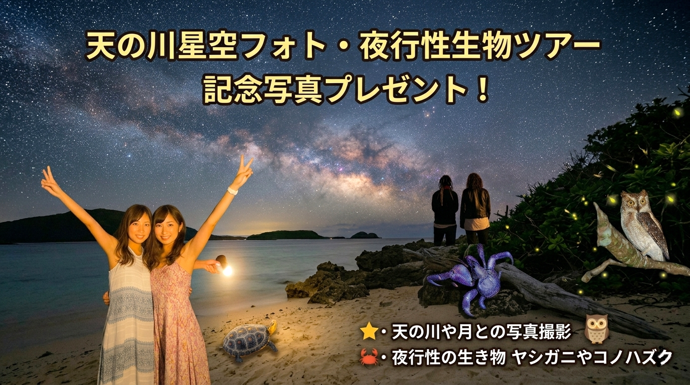 ナイト星空フォト・夜行性生物ツアー