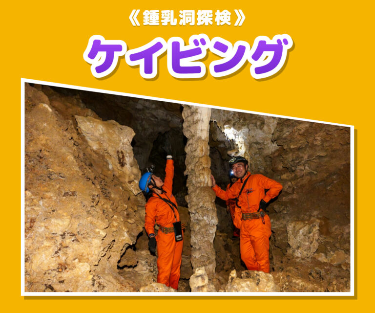 ケイビング(洞窟探検)のツアー