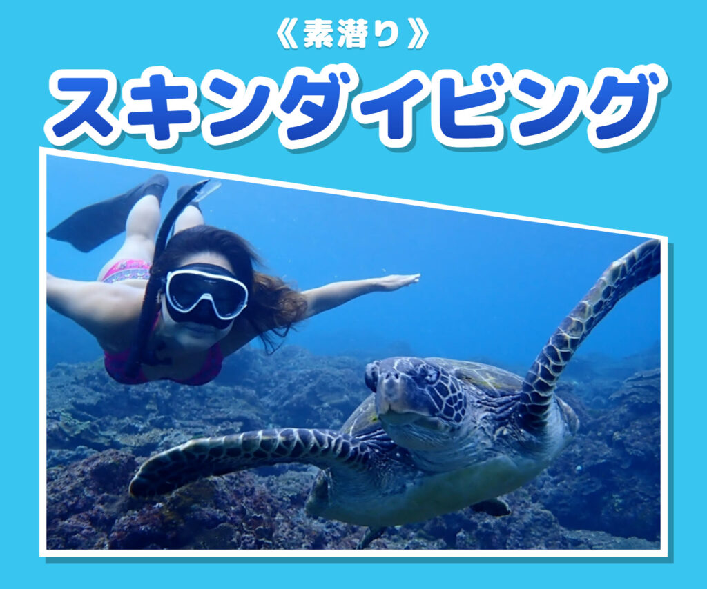 ウミガメのそばを素潜りで泳ぐスキンダイビングツアー
