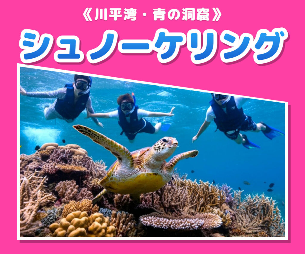 ウミガメと一緒に泳ぐシュノーケルツアーの参加者