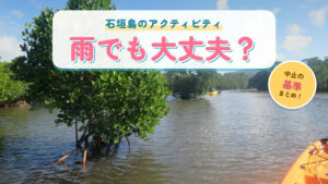 石垣島のマングローブの川と「雨でも大丈夫？」の文字